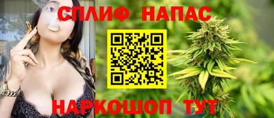 гидра Обнинск